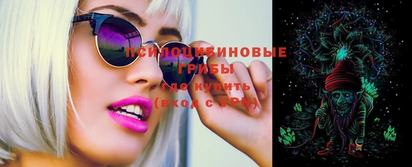 прущая мука Алзамай