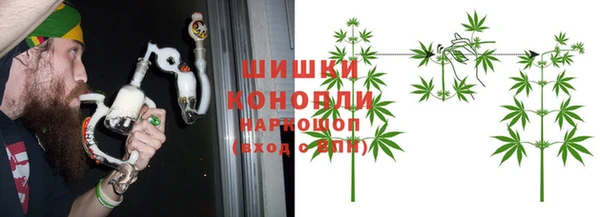 сатива Абинск