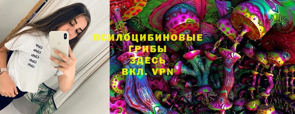 мяу мяу мука Алексин