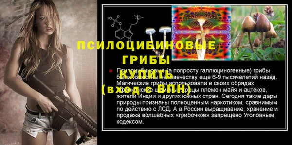 мяу мяу мука Абдулино